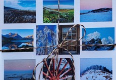 WY Nature 10 Pack